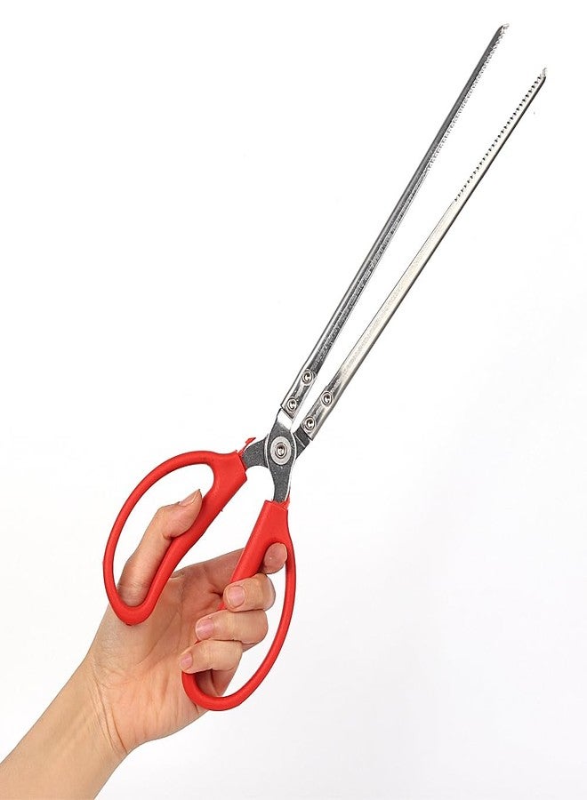 WOLEDOE Snake Feeding Tongs, Ball Python Tank Accessories Supplies fit Corn Snakes - Image 3